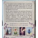 L'oracle du coeur sacré d'Avalon (DEMO)