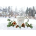 Vacances d'hiver & énergétique (Profitez au maximum de chaque endroit). Vacances d'hiver & énergétique (Profitez au maximum de chaque endroit).