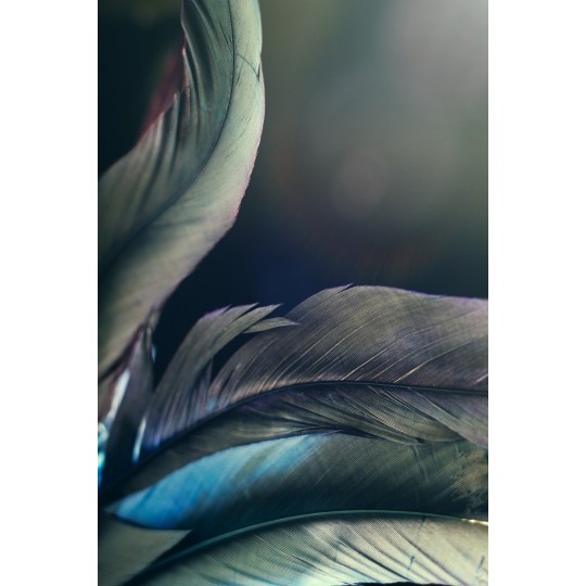 Equilibre de l'ombre et de la lumière PDF