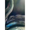 Equilibre de l'ombre et de la lumière PDF