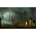 Expérience Paranormale Privée (Wallonie +/-4h) Expérience Paranormale Privée (Wallonie +/-4h)