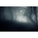 Expérience Paranormale Privée (Wallonie +/-4h) Expérience Paranormale Privée (Wallonie +/-4h)