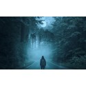 Expérience Paranormale Privée (Wallonie +/-4h) Expérience Paranormale Privée (Wallonie +/-4h)