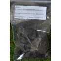 Aloes - 50gr