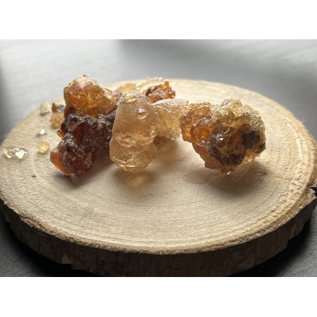 Acacia en résine - Gomme arabique