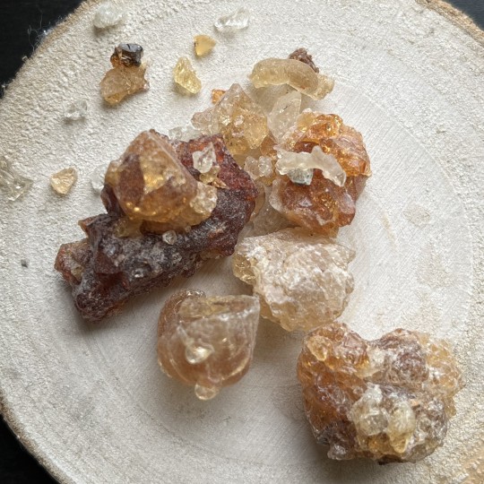 Acacia en résine - Gomme arabique